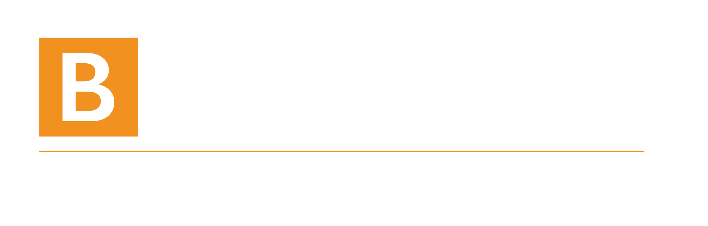 Logo Boissinot